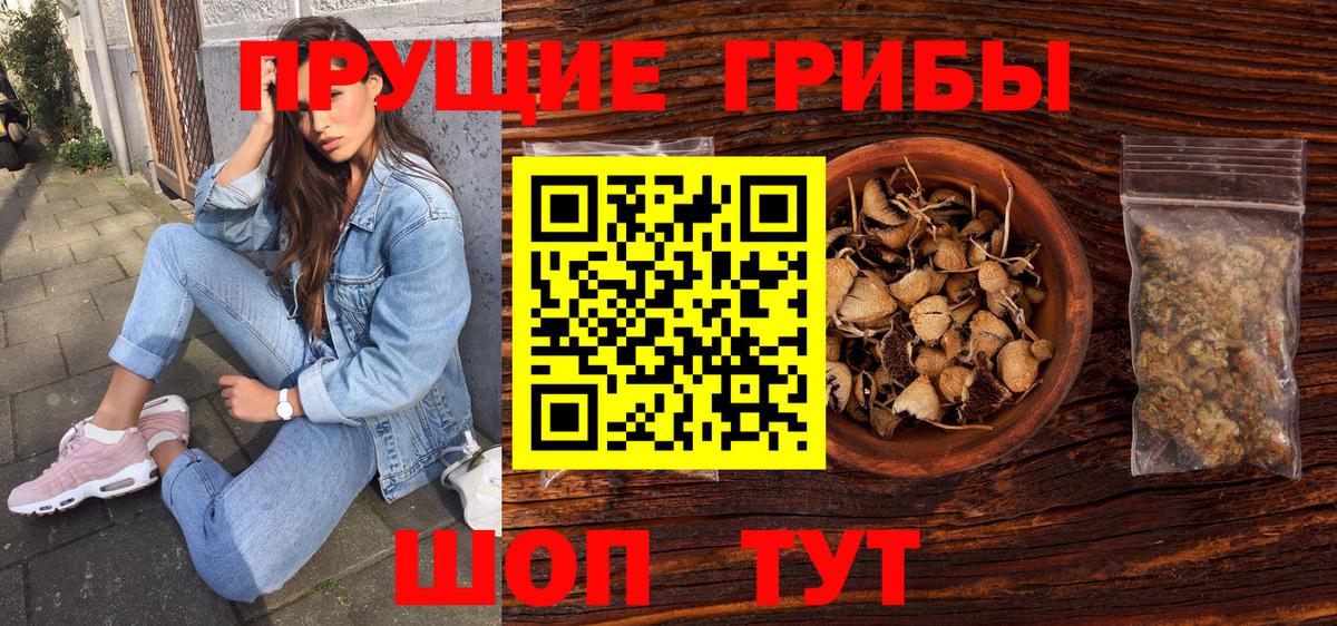 Галлюциногенные грибы прущие грибы  Галлюциногенные грибы Psilocybine cubensis  Саянск  Вход с VPN 