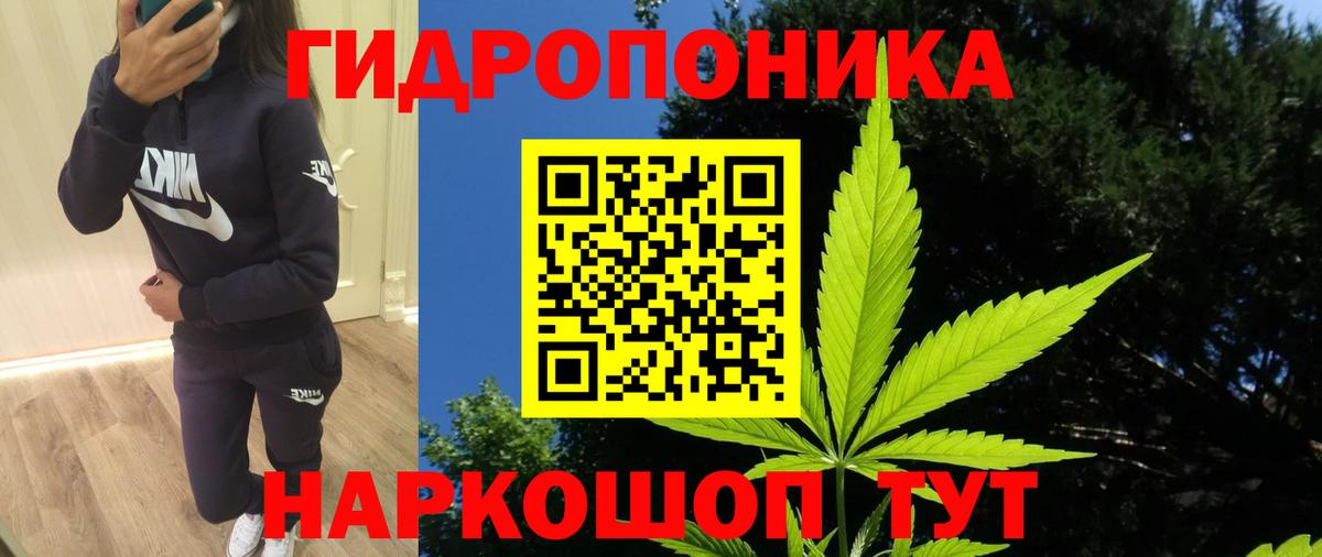 Каннабис White Widow Саянск